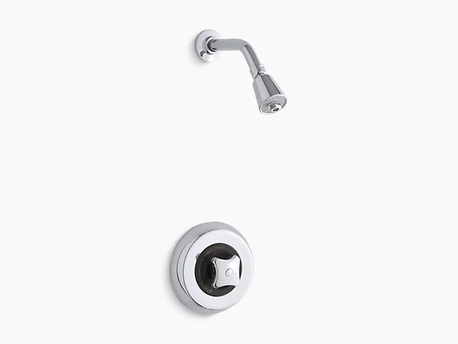 Triton rite temp shower valve trim with lever handle and showerhead